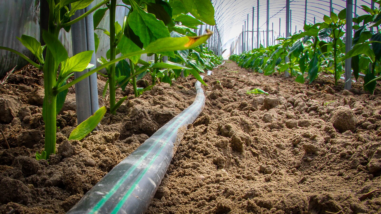 Irrigation Equipment wholesale product category