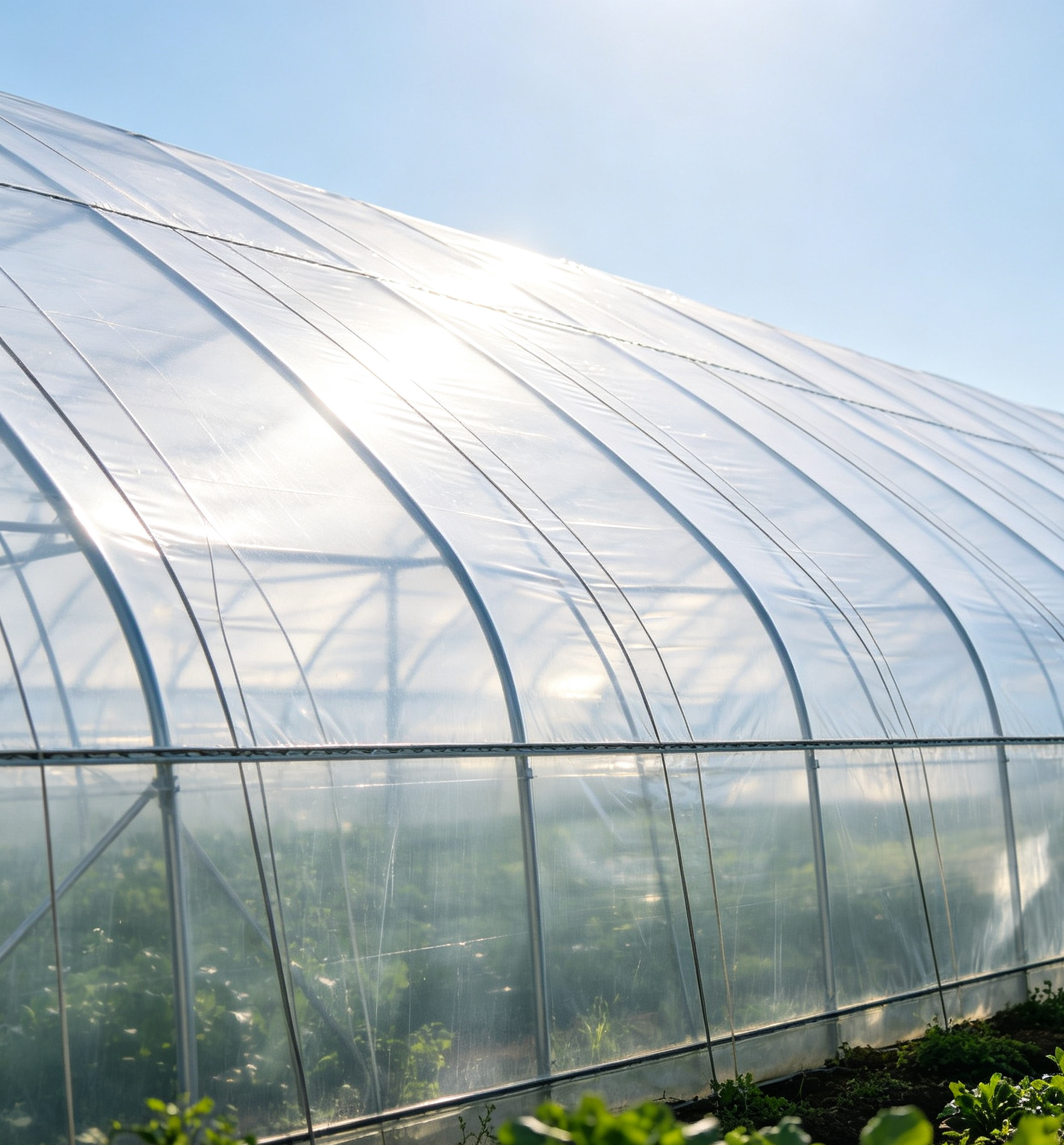 Light-transmitting greenhouse film installed on commercial greenhouses