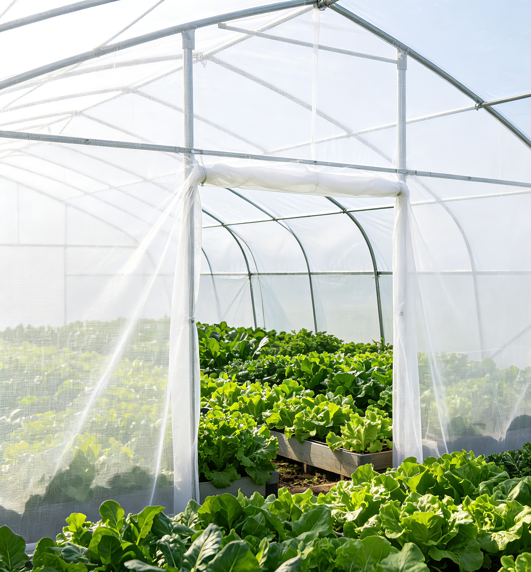 Commercial greenhouse protected with agricultural insect netting