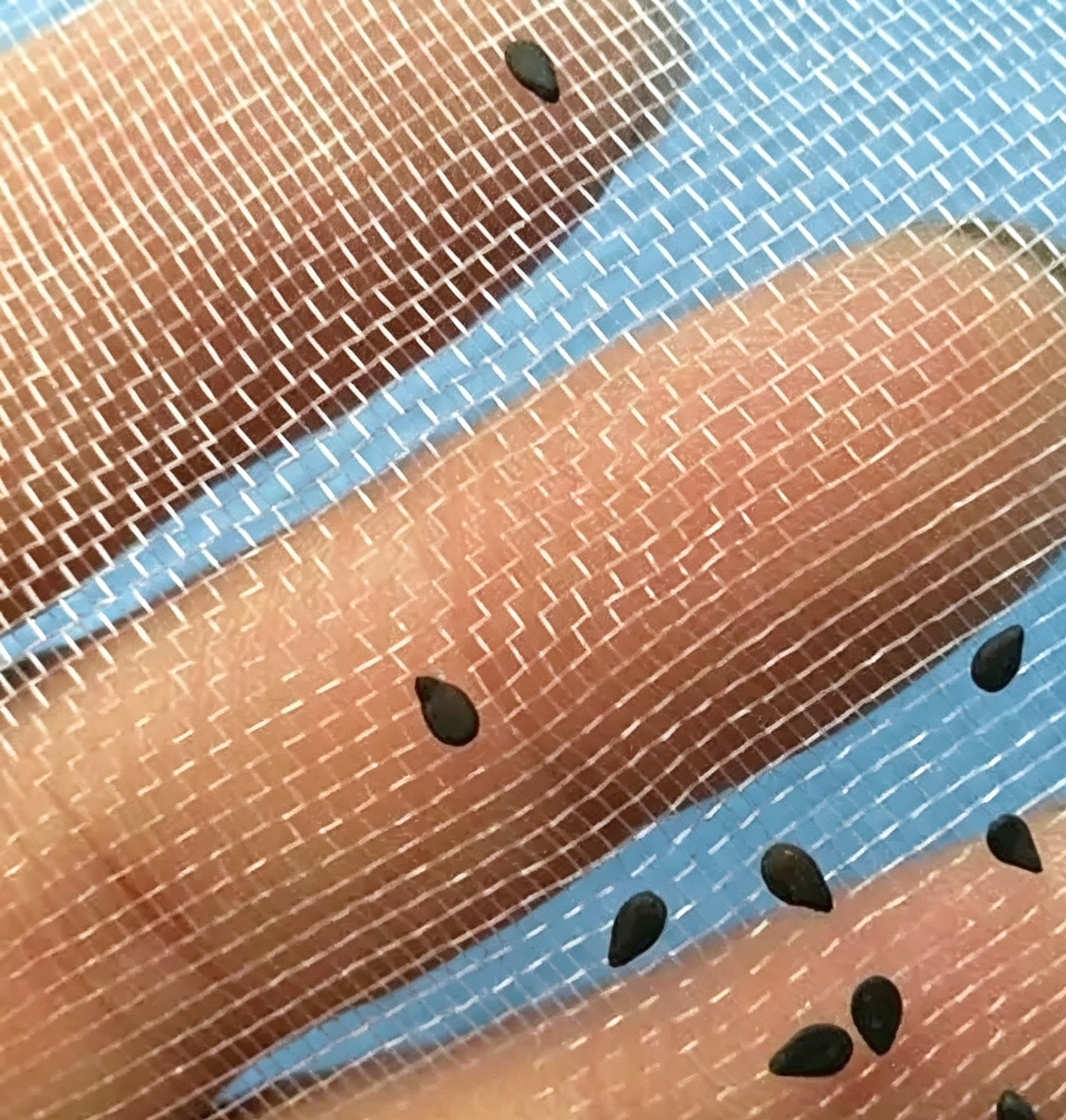 50 Mesh greenhouse insect netting texture close-up